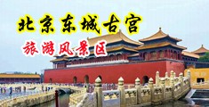 操逼爽啊中国北京-东城古宫旅游风景区